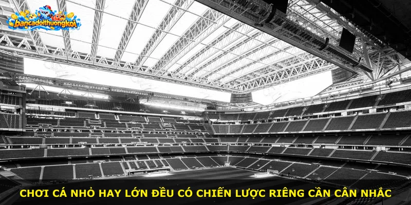 Chơi cá nhỏ hay lớn đều có chiến lược riêng cần cân nhắc