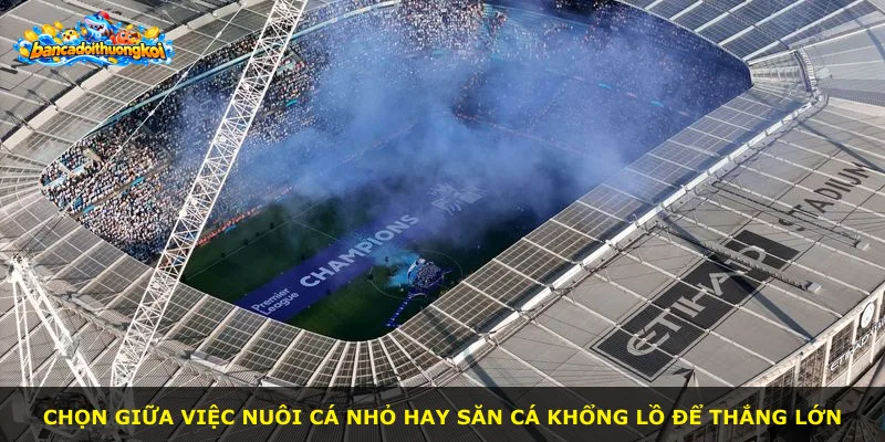 Chọn giữa việc nuôi cá nhỏ hay săn cá khổng lồ để thắng lớn