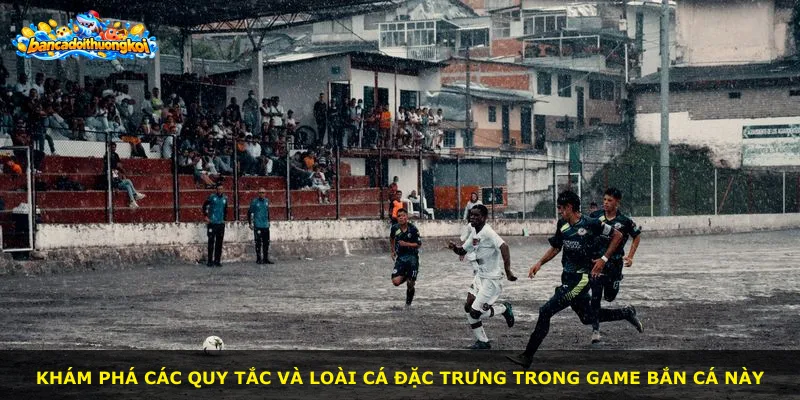 Khám phá các quy tắc và loài cá đặc trưng trong game bắn cá này