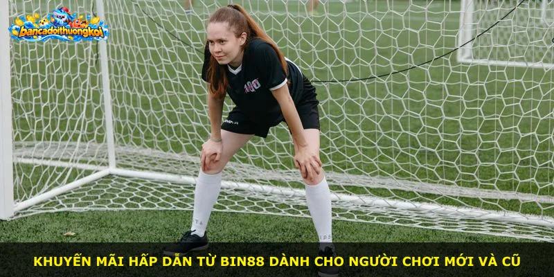 Khuyến mãi hấp dẫn từ BIN88 dành cho người chơi mới và cũ